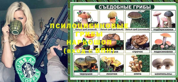 стаф Новозыбков
