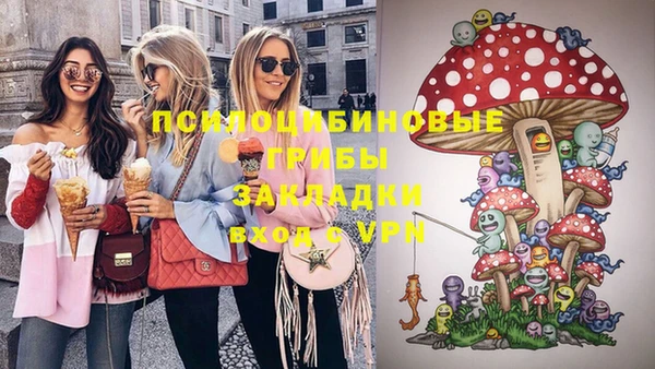 прущий лед Няндома