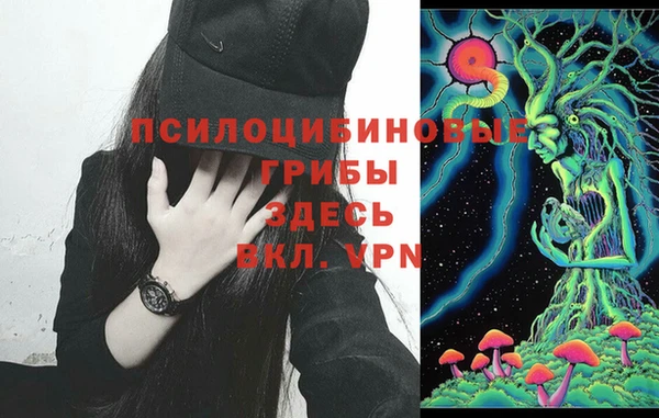 прущий лед Няндома