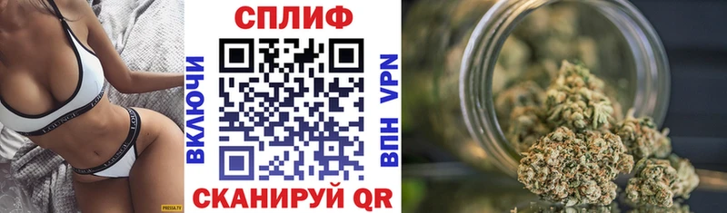 Канабис индика Сокол