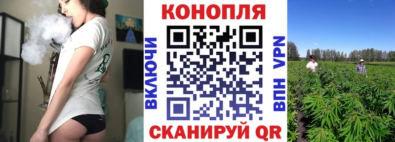 Купить где  Сокол  МАРИХУАНА гибрид 